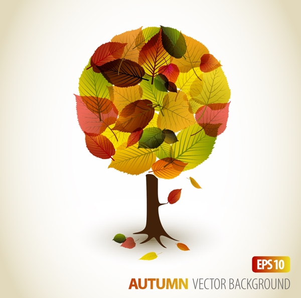 秋天的树叶矢量2图形设计