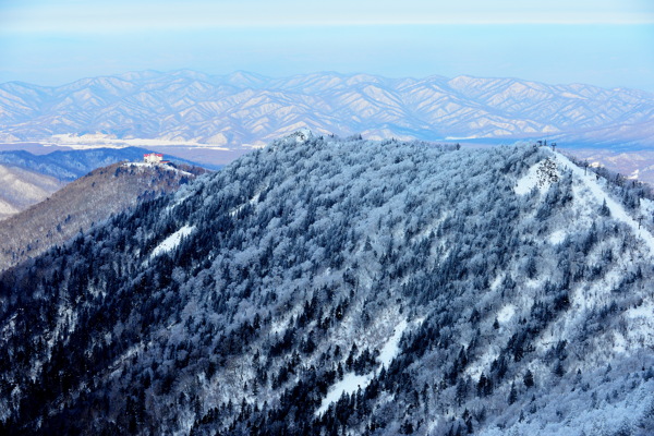 北方的雪野图片