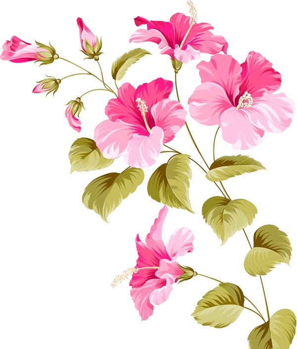 粉色手绘植物