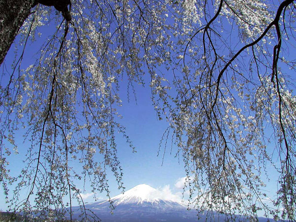 风景图片