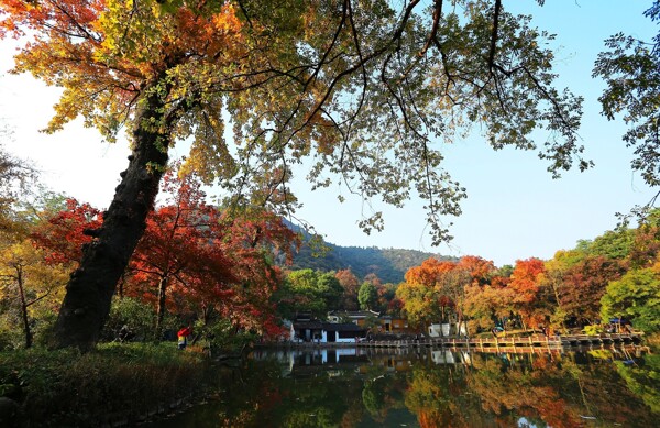 江苏苏州天平山风景