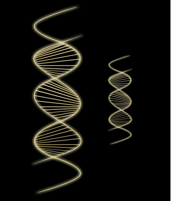 DNA维生素人体代码图片