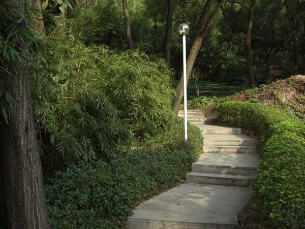 公园石阶绿蓠图片