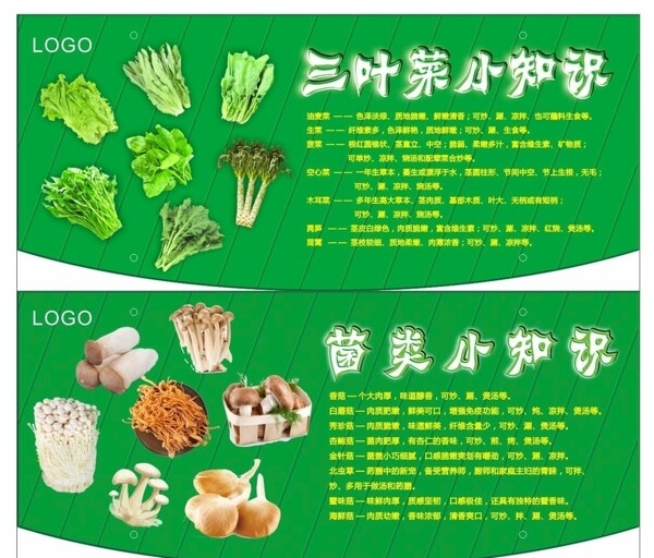 蔬菜简介展板