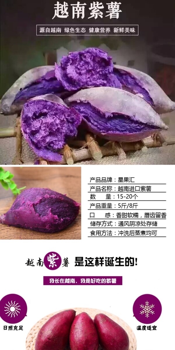 越南紫薯淘宝详情页