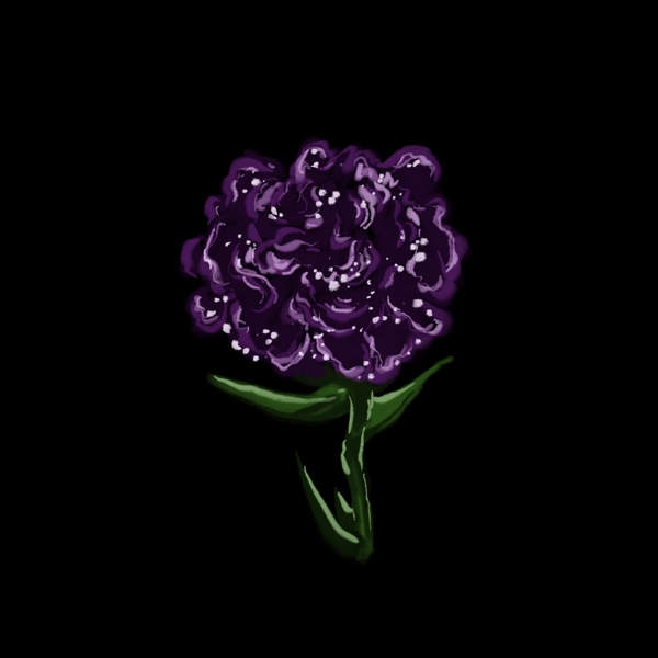 黑紫色的花卡通插图