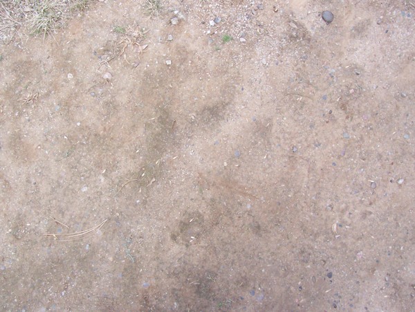 地面泥巴材质贴图