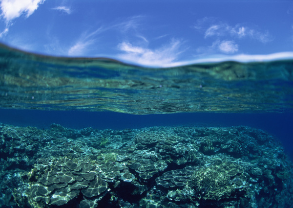 海底风光图片