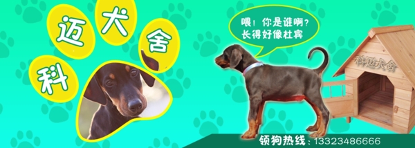 犬舍banner图片