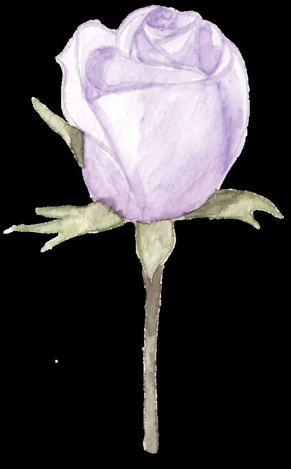 淡紫玫瑰卡通透明素材