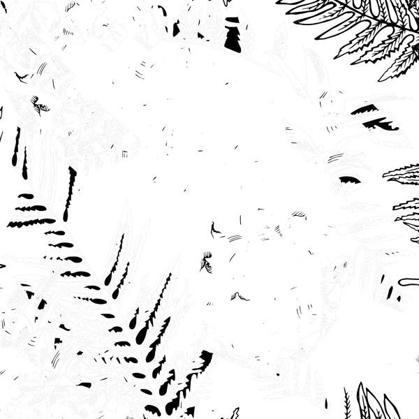 黑白手绘菠萝和叶子背景