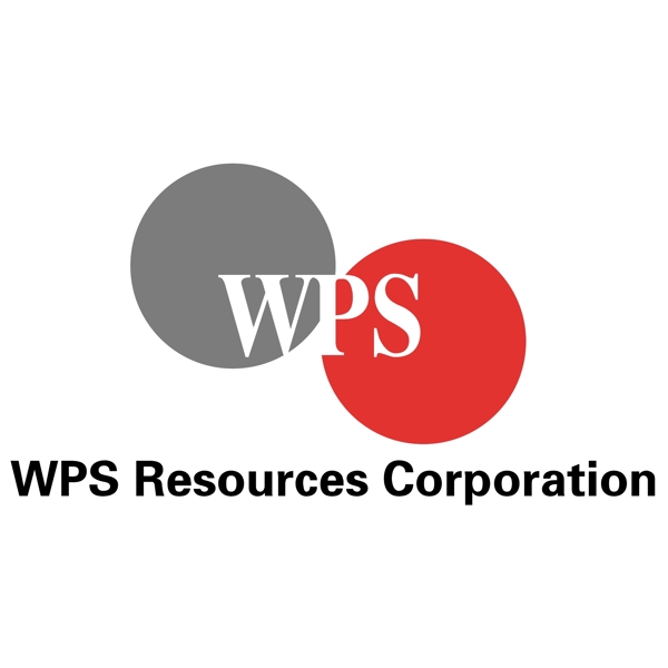 WPS资源