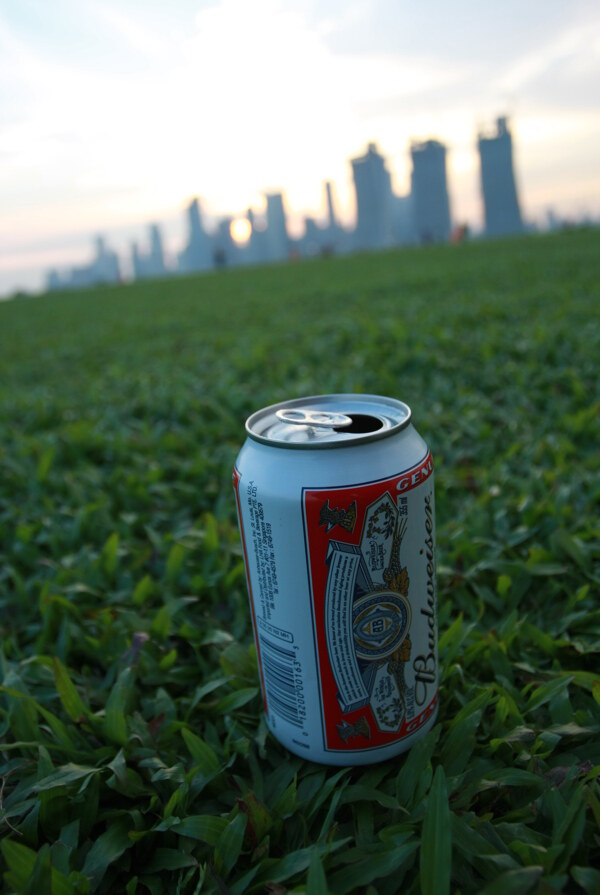 放在草坪上的啤酒罐图片