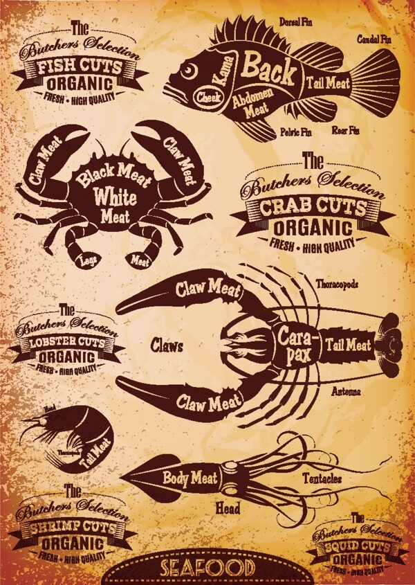 复古海鲜图案矢量素材下载