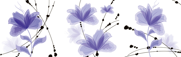 三联淡紫花