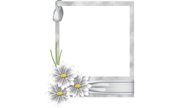 手绘白色花卉边框免抠psd透明素材