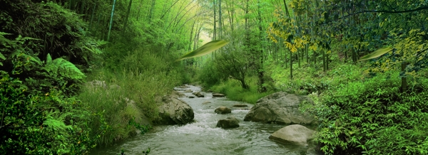 竹林背景素材