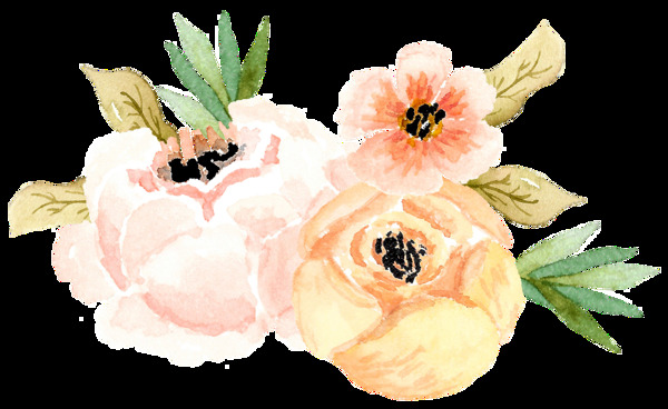 高雅水彩花卉卡通透明素材