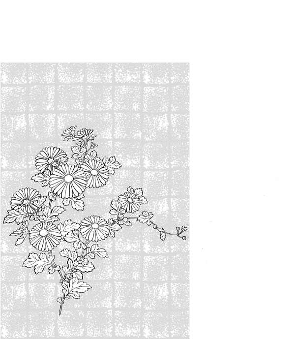 矢量线绘制flowers37菊花背景