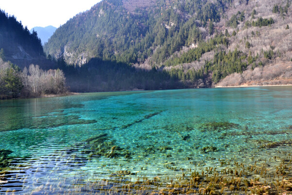 九寨沟五花海图片