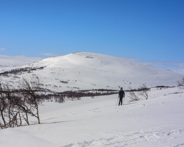 雪地山坡图片