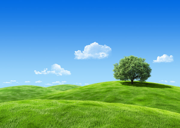 蓝天草原绿树图片