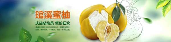 柚子广告图图片