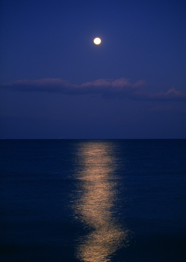 海上明月