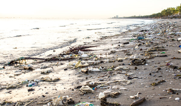 海边环境污染严重图片