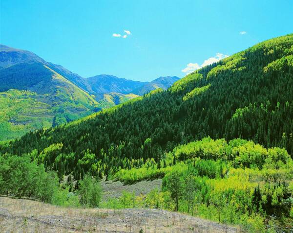 山水风景田园风景