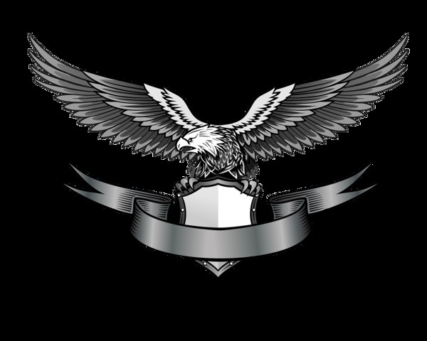 老鹰标志logo免抠png透明图层素材