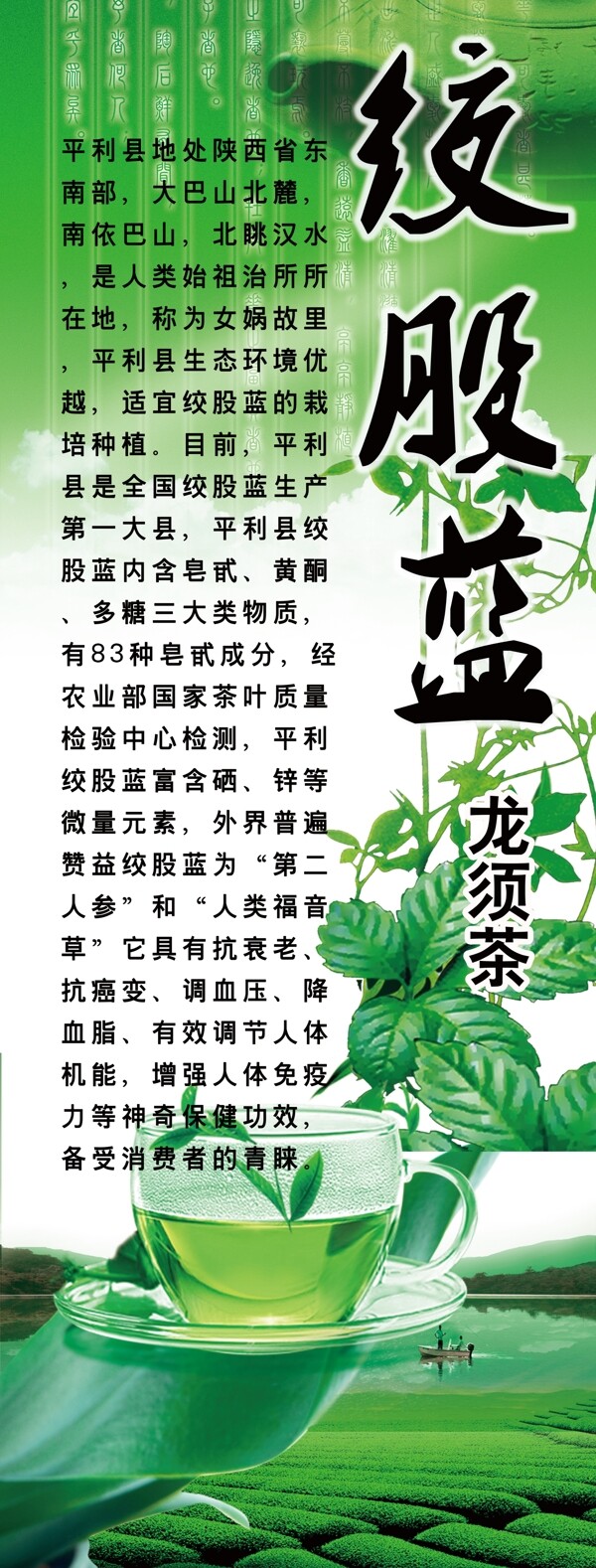 绞股蓝茶叶图片