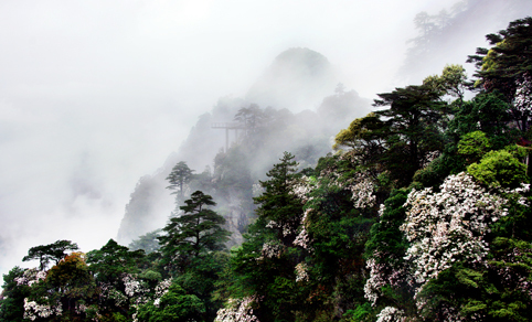 井冈山风景