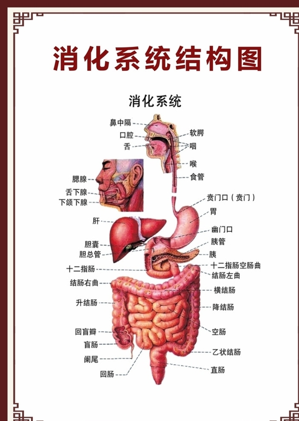 医院文化医院展板医院挂图