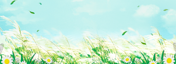 淘宝广告banner