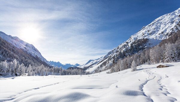 美丽的冬日雪景图片