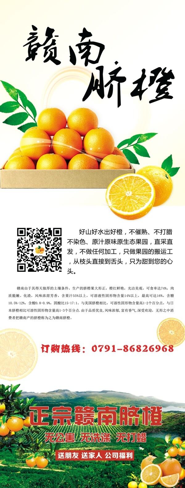 赣南脐橙x展板易拉宝广告水果