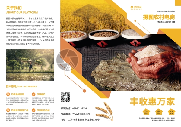 暖色农村电商平台农产品宣传三折页