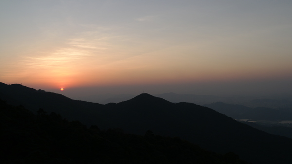 梧桐山夜景