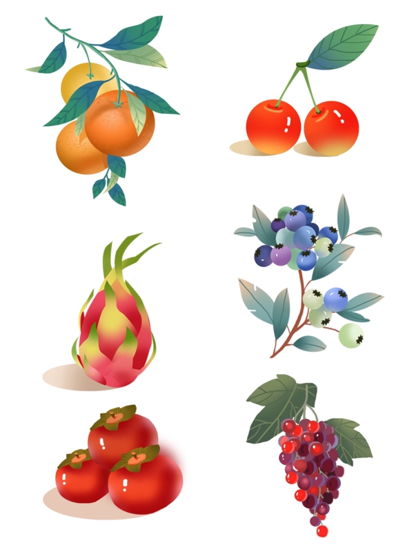 水果合集商用插画素材