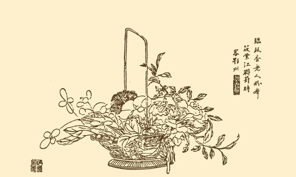 芥子园画谱花卉图片