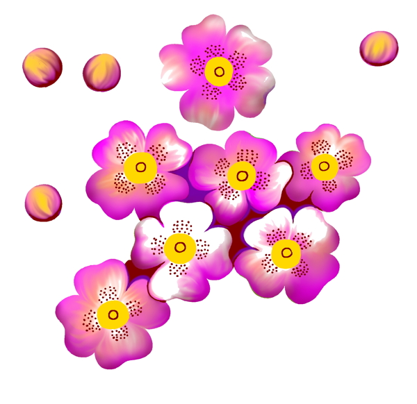 花草插图花纹图案0319