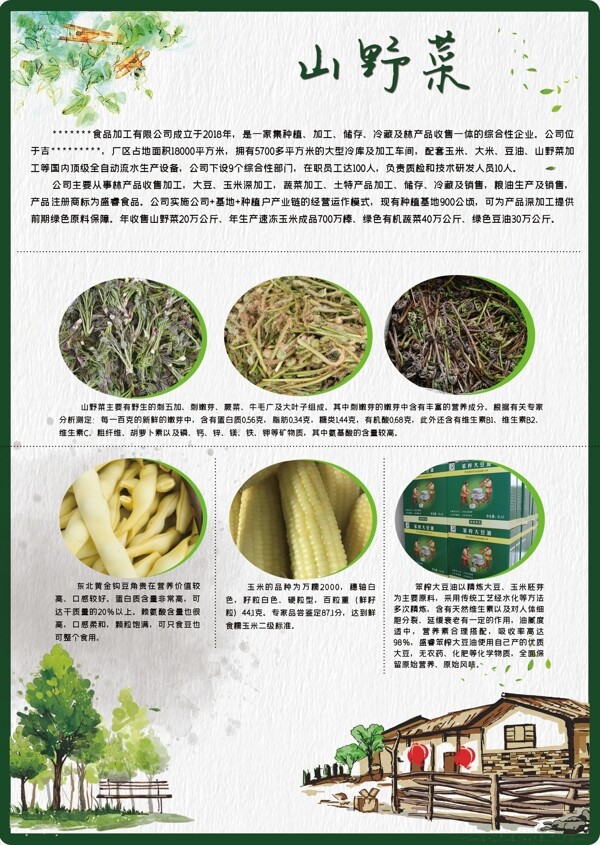 山野菜宣传单图片