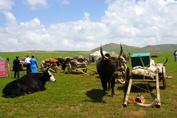 蒙古国草原图片