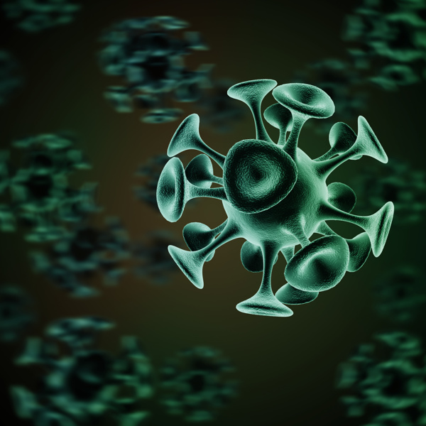 绿色喇叭形病毒图片