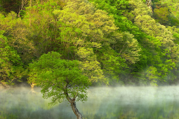 自然风景风景自然田园山水