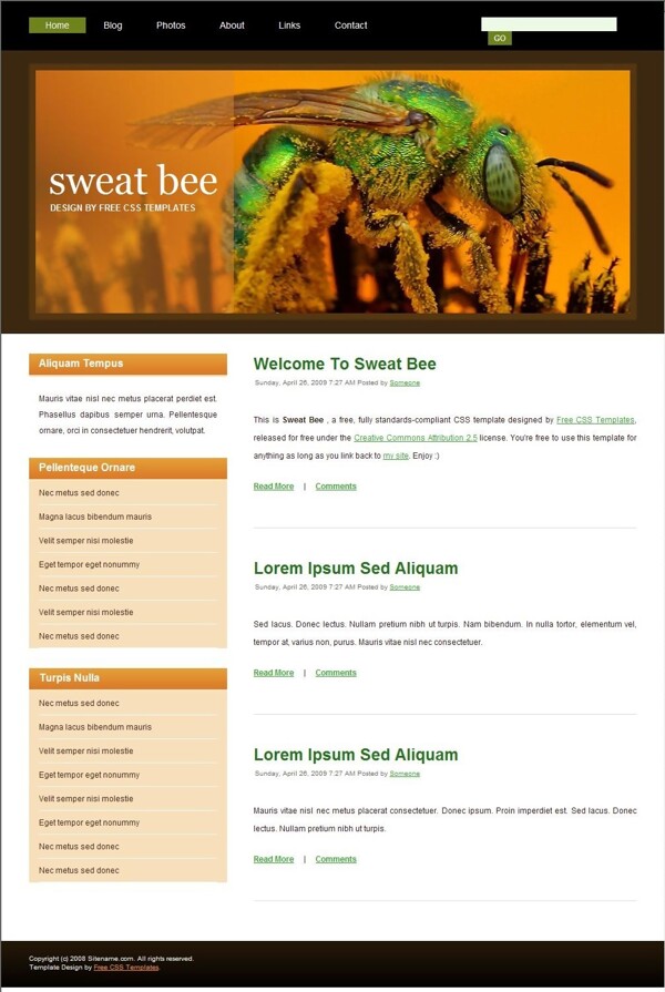 汗蜂昆虫主题BLOG网页模板