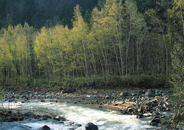 山水风景