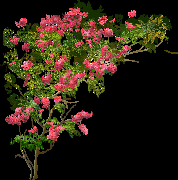红色花树植物PNG元素