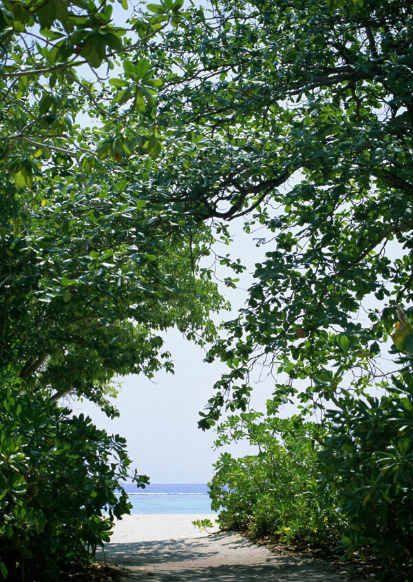 海南风景图片035图片